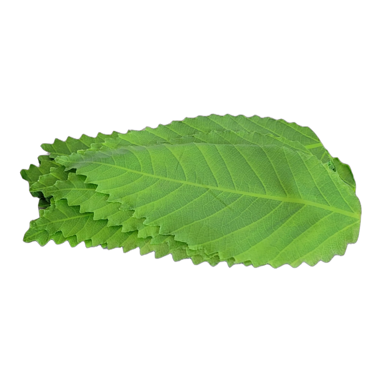 Product 491